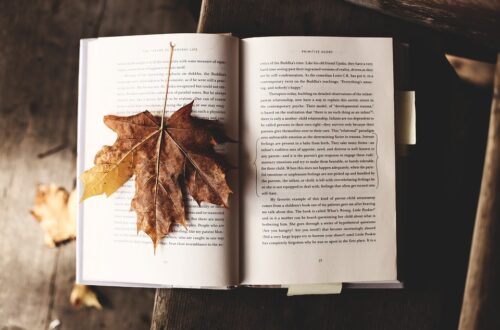 Yasin Ekmekci: İçinde Bulunduğumuz Melankolik Sonbahar Günlerinde Okumanızı Önerdiğimiz 5 Kitap