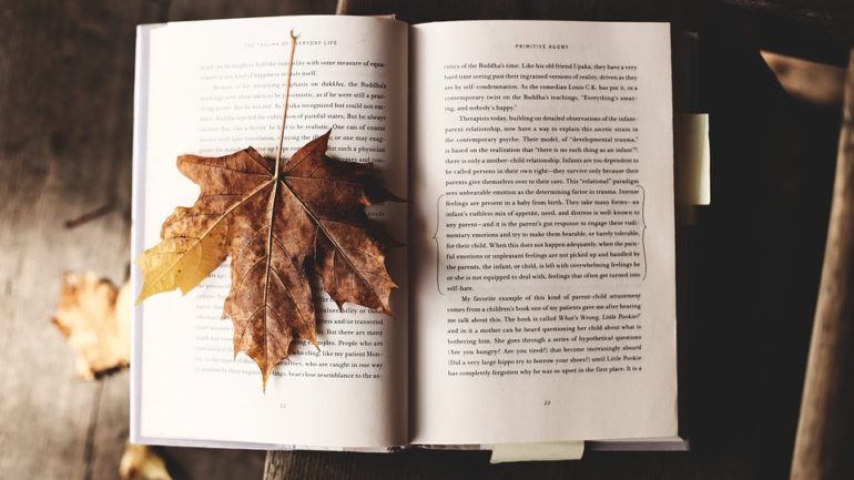 İçinde Bulunduğumuz Melankolik Sonbahar Günlerinde Okumanızı Önerdiğimiz 5 Kitap