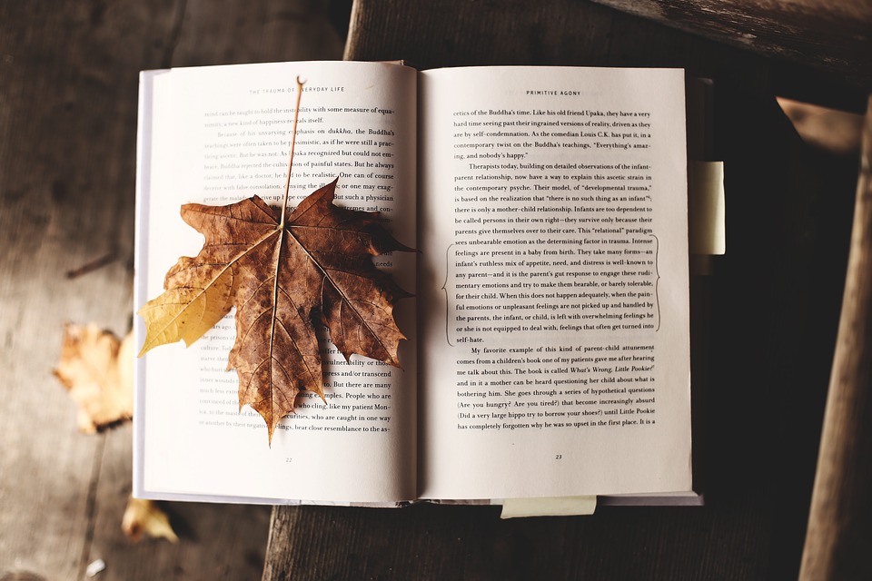 Efrahim: İçinde Bulunduğumuz Melankolik Sonbahar Günlerinde Okumanızı Önerdiğimiz 5 Kitap