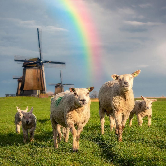 Efrahim: Hollandalı Fotoğrafçı Dick van Dujin’in Yakaladığı Harika Doğa Fotoğrafları
