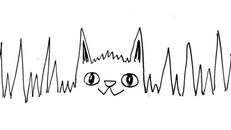 Kötü Kedi Şerafettin’in Yaratıcısı Bülent Üstün’ün En Beğenilen #Karikaşiir’leri