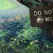 Efrahim: Colin Trevorrow Sözünü Tuttu: Jurassic World’ün Kısa Filmi YouTube’de!