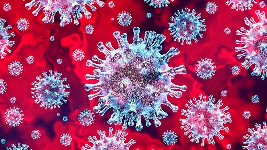 Koronavirüsü nedir?