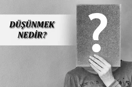 Ulaş Utku Bozdoğan: Düşünme Nedir? Düşünme Ne Demek?