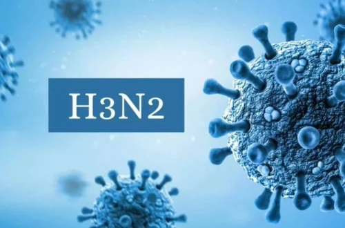 Ulaş Utku Bozdoğan: H3N2 Virüsü Nedir? Belirtileri ve Mevsimsel Gripten Farkı